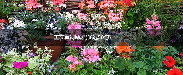 英文单词励志(优选50句),第1张