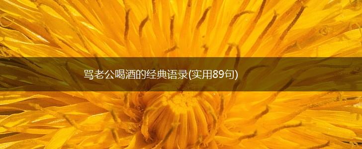 骂老公喝酒的经典语录(实用89句),第1张