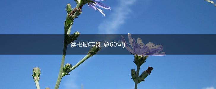 读书励志(汇总60句),第1张
