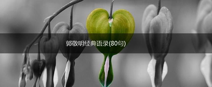 郭敬明经典语录(80句),第1张