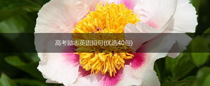 高考励志英语短句(优选40句),第1张