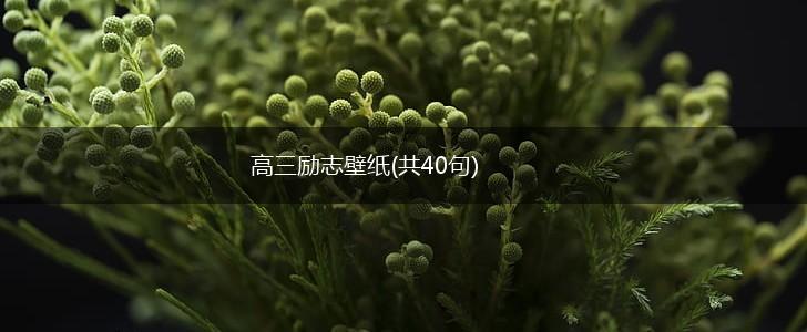 高三励志壁纸(共40句),第1张