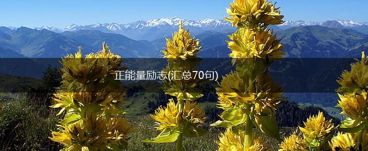 正能量励志(汇总70句),第1张