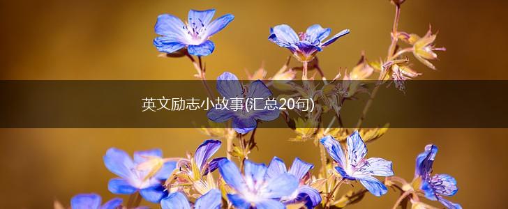 英文励志小故事(汇总20句),第1张 英文励志小故事(汇总20句),第1张