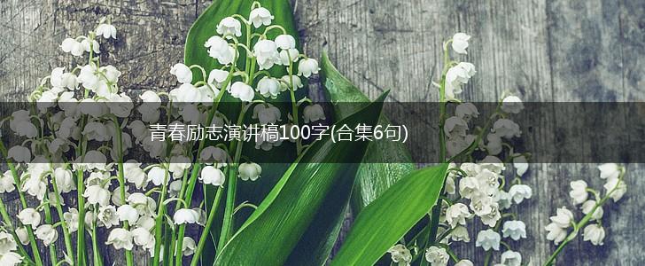 青春励志演讲稿100字(合集6句),第1张