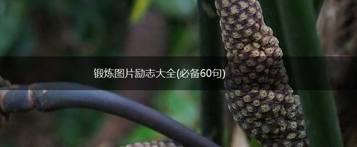 锻炼图片励志大全(必备60句),第1张