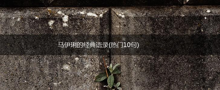 马伊琍的经典语录(热门10句),第1张