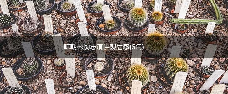 韩朝彬励志演讲观后感(6句),第1张