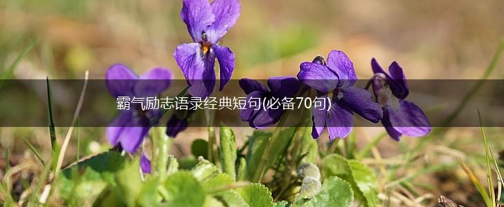 霸气励志语录经典短句(必备70句),第1张