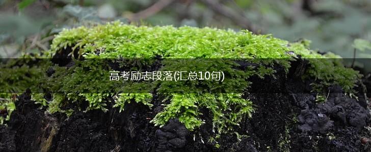 高考励志段落(汇总10句),第1张