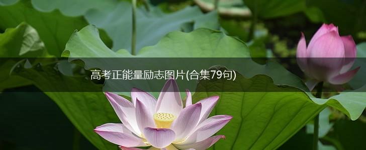 高考正能量励志图片(合集79句),第1张