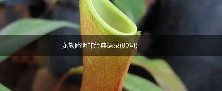 龙族路明非经典语录(80句),第1张