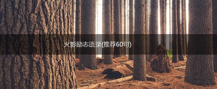 火影励志语录(推荐60句),第1张