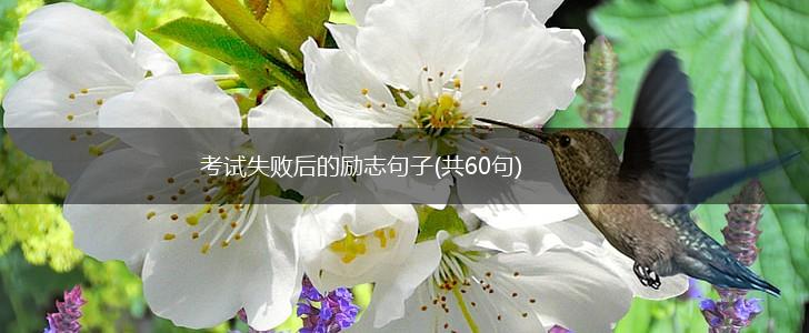 考试失败后的励志句子(共60句),第1张