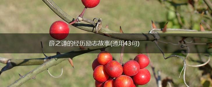 薛之谦的经历励志故事(通用43句),第1张