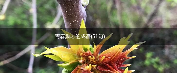 青春励志的成语(51句),第1张