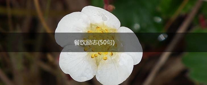 餐饮励志(50句),第1张