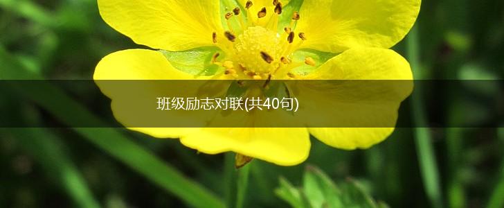 班级励志对联(共40句),第1张