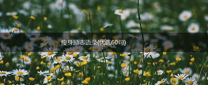 瘦身励志语录(优选60句),第1张