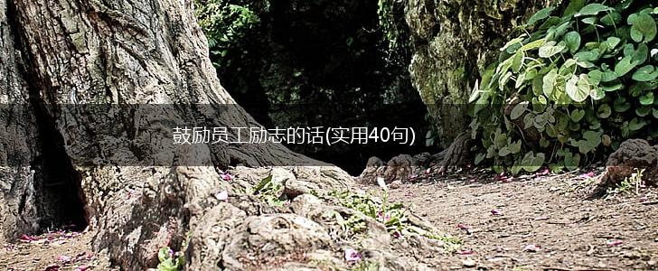 鼓励员工励志的话(实用40句),第1张