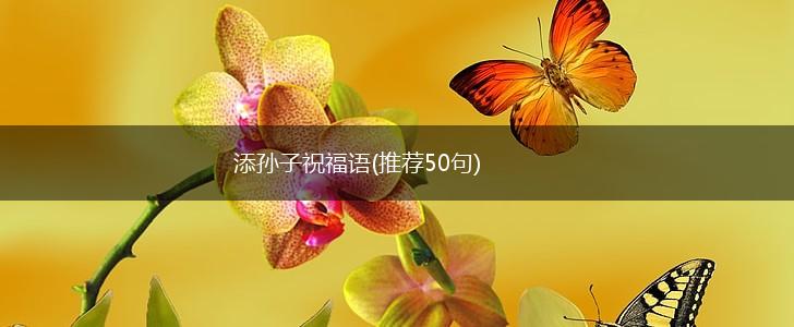 添孙子祝福语(推荐50句),第1张