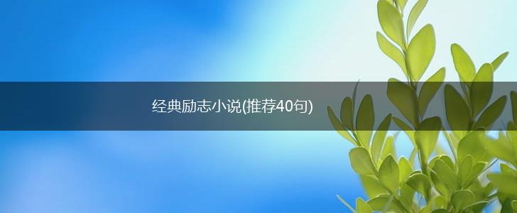 经典励志小说(推荐40句),第1张 经典励志小说(推荐40句),第1张