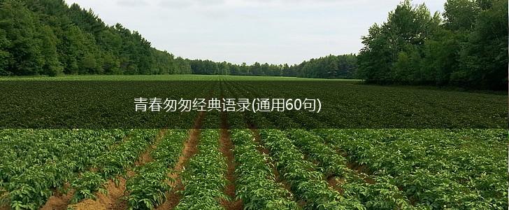 青春匆匆经典语录(通用60句),第1张