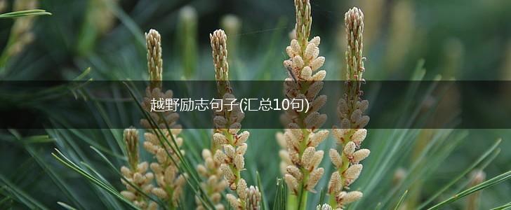 越野励志句子(汇总10句),第1张