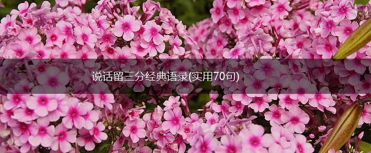 说话留三分经典语录(实用70句),第1张