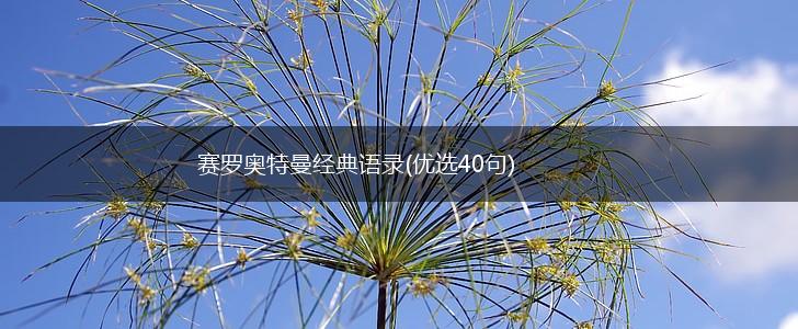 赛罗奥特曼经典语录(优选40句),第1张