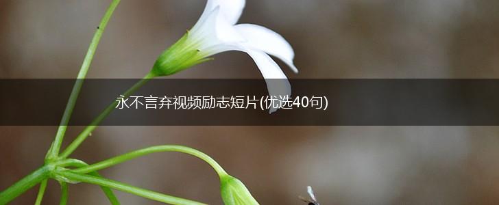 永不言弃视频励志短片(优选40句),第1张