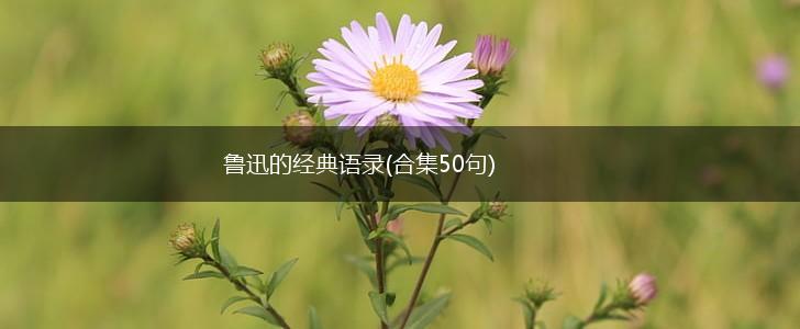 鲁迅的经典语录(合集50句),第1张