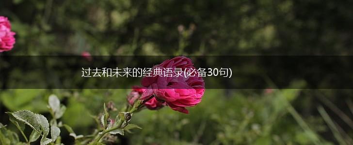 过去和未来的经典语录(必备30句),第1张