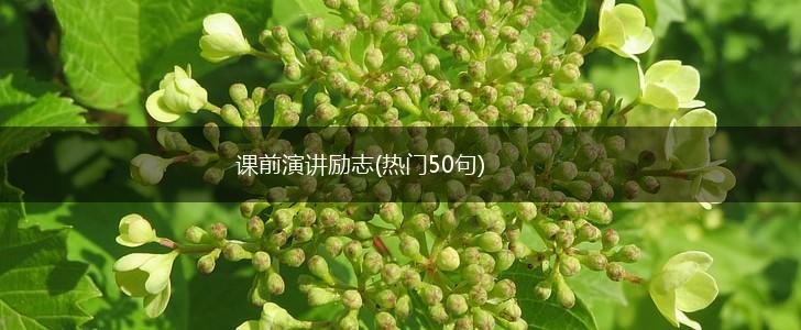 课前演讲励志(热门50句),第1张