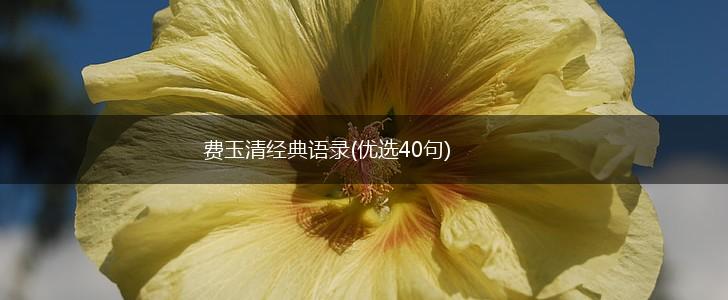费玉清经典语录(优选40句),第1张