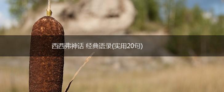 西西弗神话 经典语录(实用20句),第1张