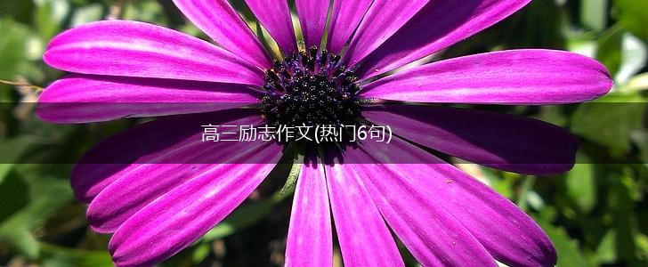 高三励志作文(热门6句),第1张