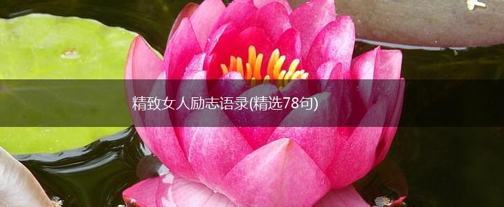 精致女人励志语录(精选78句),第1张 精致女人励志语录(精选78句),第1张