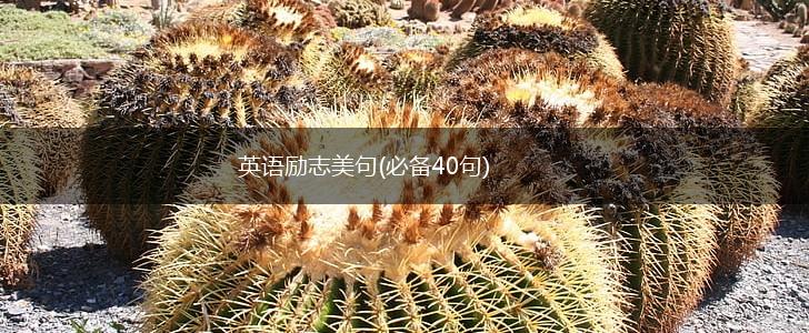 英语励志美句(必备40句),第1张