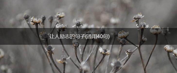 让人励志的句子(通用40句),第1张