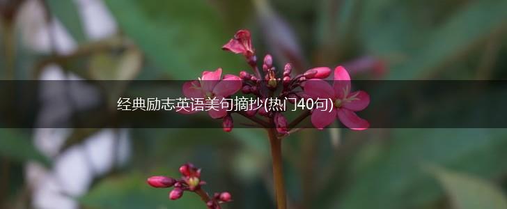 经典励志英语美句摘抄(热门40句),第1张 经典励志英语美句摘抄(热门40句),第1张