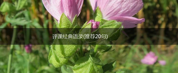 评课经典语录(推荐20句),第1张