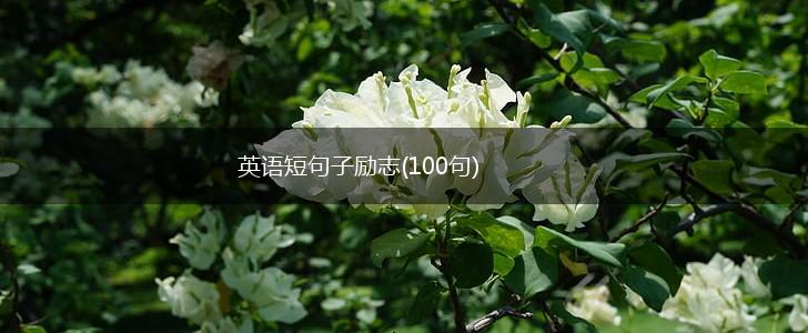 英语短句子励志(100句),第1张