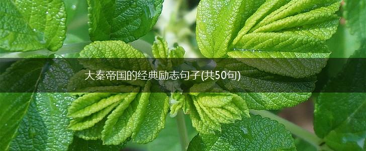 大秦帝国的经典励志句子(共50句),第1张