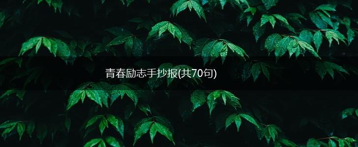 青春励志手抄报(共70句),第1张