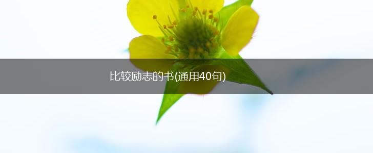 比较励志的书(通用40句),第1张