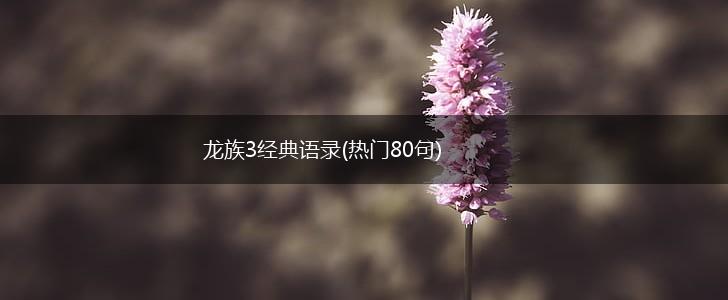 龙族3经典语录(热门80句),第1张