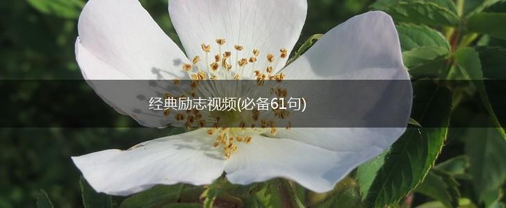 经典励志视频(必备61句),第1张