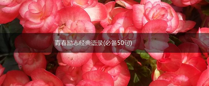 青春励志经典语录(必备50句),第1张