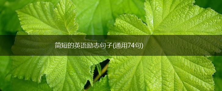简短的英语励志句子(通用74句),第1张 简短的英语励志句子(通用74句),第1张
